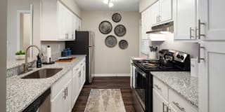 Elevate at NuLu Apartment Homes Elevate at NuLu Apartment Homes Photo Gallery 1