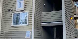 28307 18th Ave S #B305 28307 18th Ave S #B305 Photo Gallery 1