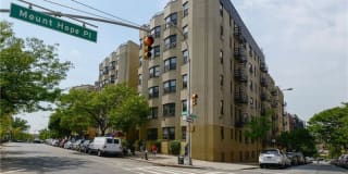 1855 Grand Concourse 1855 Grand Concourse Photo Gallery 1