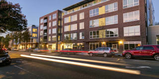 Springline Springline Photo Gallery 1