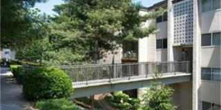 12203 BRAXFIELD COURT 12203 BRAXFIELD COURT Photo Gallery 1