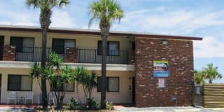 22 Tulip Avenue 22 Tulip Avenue Photo Gallery 1