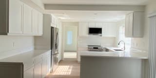 2923 Via Pepita 2923 Via Pepita Photo Gallery 1
