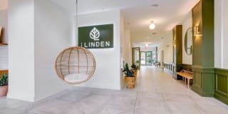 The Linden The Linden Photo Gallery 1