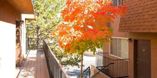Oak Manor & Angel Street Oak Manor & Angel Street Photo Gallery 1