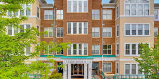 500 BELMONT BAY DRIVE 500 BELMONT BAY DRIVE Photo Gallery 1