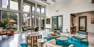 Aventura on Briar Forest Aventura on Briar Forest Photo Gallery 1