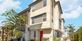 29438 Urbia Way 29438 Urbia Way Photo Gallery 1