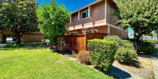 735 Olive Ave Apt D1 735 Olive Ave Apt D1 Photo Gallery 1
