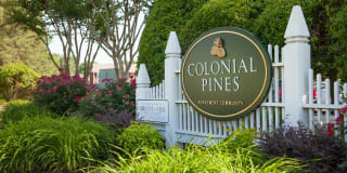 Colonial Pines Colonial Pines Photo Gallery 1