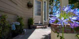 49 Cliff Walk Drive 49 Cliff Walk Drive Photo Gallery 1