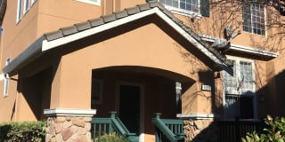 5000 Starling St. 5000 Starling St. Photo Gallery 1