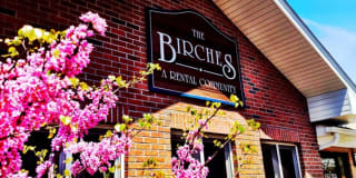 Birches Birches Photo Gallery 1