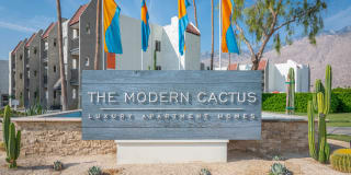 THE MODERN CACTUS THE MODERN CACTUS Photo Gallery 1