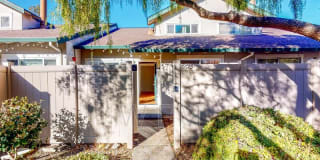 6613 Meadow Pines Avenue 6613 Meadow Pines Avenue Photo Gallery 1