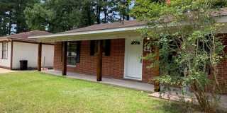 221 Ivy Street 221 Ivy Street Photo Gallery 1