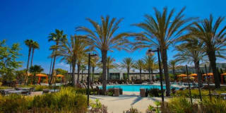 5540 Strand 5540 Strand Photo Gallery 1