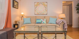 79 Chestnut St 79 Chestnut St Photo Gallery 1