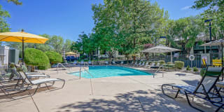 Treehouse Apartments Treehouse Apartments Photo Gallery 1