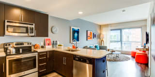 Zinc Zinc Photo Gallery 1