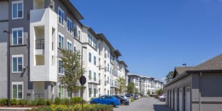 Ancora Apartments Ancora Apartments Photo Gallery 1