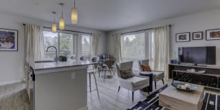 Spruce Spruce Photo Gallery 1