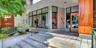 Mural Mural Photo Gallery 1