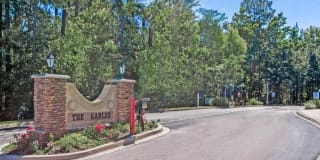 257 SCRUB JAY DR 257 SCRUB JAY DR Photo Gallery 1