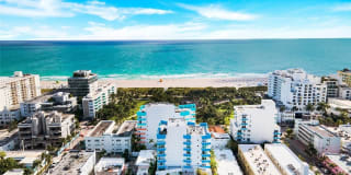 225 Collins Ave 225 Collins Ave Photo Gallery 1