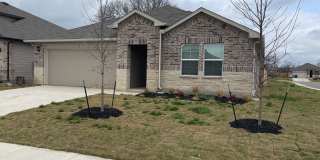 869 Armadillo 869 Armadillo Photo Gallery 1