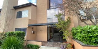 39029 Guardino Dr Apt 216 39029 Guardino Dr Apt 216 Photo Gallery 1