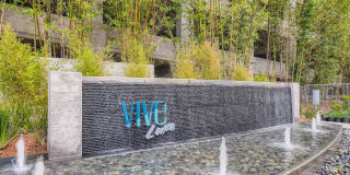 Vive Luxe Vive Luxe Photo Gallery 1