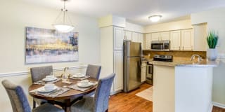 The Place at Carrollwood The Place at Carrollwood Photo Gallery 1