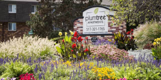 Plumtree Apartments Plumtree Apartments Photo Gallery 1