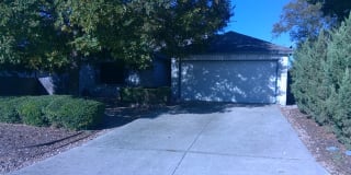 2613 Ashley Oak Dr 2613 Ashley Oak Dr Photo Gallery 1