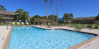 Allure Apartments Allure Apartments Photo Gallery 1