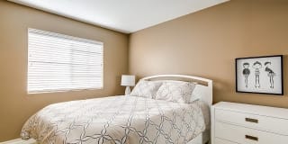 2439 Paseo Circulo 2439 Paseo Circulo Photo Gallery 1