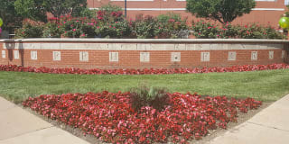 Murphy Park - Affordable Housing Murphy Park - Affordable Housing Photo Gallery 1