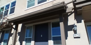 902 Botanica Lane #D 902 Botanica Lane #D Photo Gallery 1