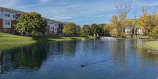 Ponds at Georgetown Ponds at Georgetown Photo Gallery 1