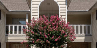 3003 Mulberry Lane 3003 Mulberry Lane Photo Gallery 1