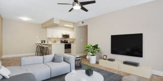 Strada Strada Photo Gallery 1