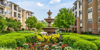 Briarcliff City Briarcliff City Photo Gallery 1
