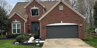 519 Delburg Street 519 Delburg Street Photo Gallery 1