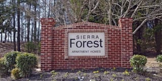 Sierra Forest Sierra Forest Photo Gallery 1