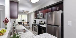 Yorkshire - Silver Spring Yorkshire - Silver Spring Photo Gallery 1