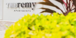 The Remy Apartments The Remy Apartments Photo Gallery 1