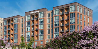 311 E Superior Street Condo 806 311 E Superior Street Condo 806 Photo Gallery 1