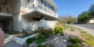 2187 Via Mariposa East 2187 Via Mariposa East Photo Gallery 1