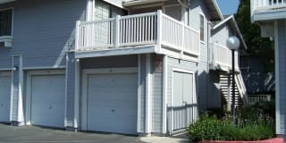 233 Evergreen Ct. 233 Evergreen Ct. Photo Gallery 1